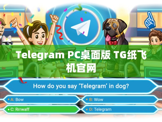 Telegram PC桌面版 TG纸飞机官网