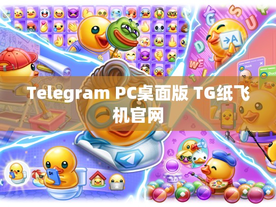 Telegram PC桌面版 TG纸飞机官网