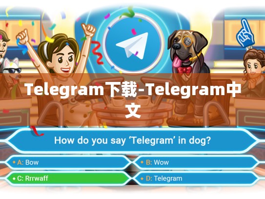 Telegram下载-Telegram中文