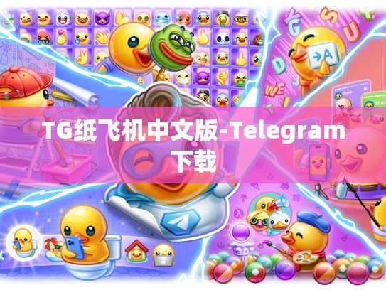 TG纸飞机中文版-Telegram下载