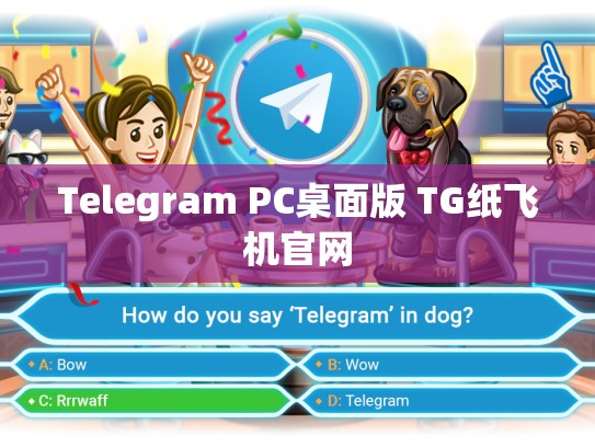 Telegram PC桌面版 TG纸飞机官网