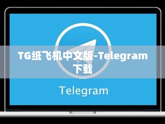 TG纸飞机中文版-Telegram下载