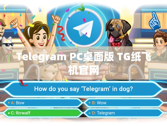 Telegram PC桌面版 TG纸飞机官网