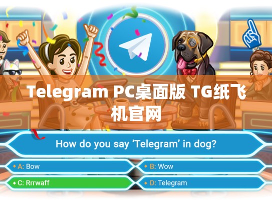 Telegram PC桌面版 TG纸飞机官网