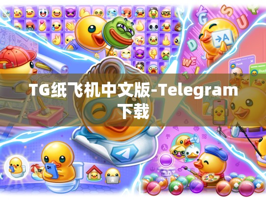 TG纸飞机中文版-Telegram下载