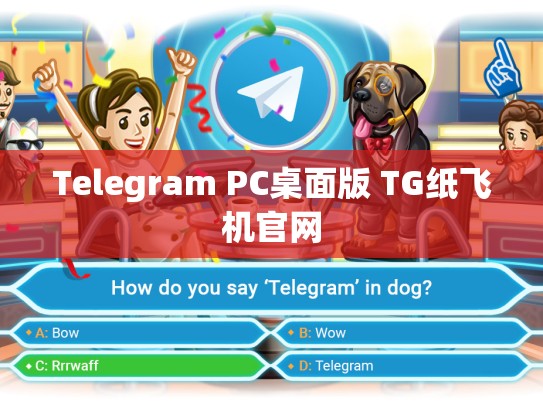 Telegram PC桌面版 TG纸飞机官网