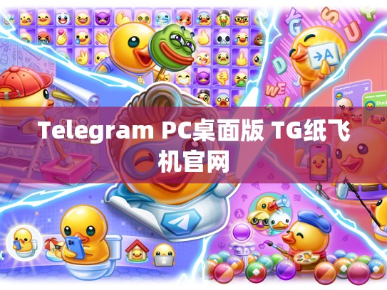 Telegram PC桌面版 TG纸飞机官网