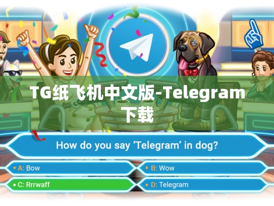 TG纸飞机中文版-Telegram下载
