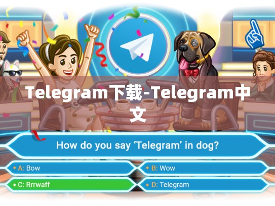 Telegram下载-Telegram中文