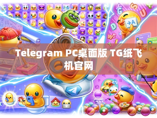 Telegram PC桌面版 TG纸飞机官网