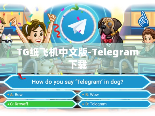 TG纸飞机中文版-Telegram下载