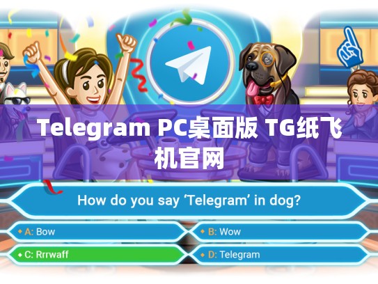 Telegram PC桌面版 TG纸飞机官网