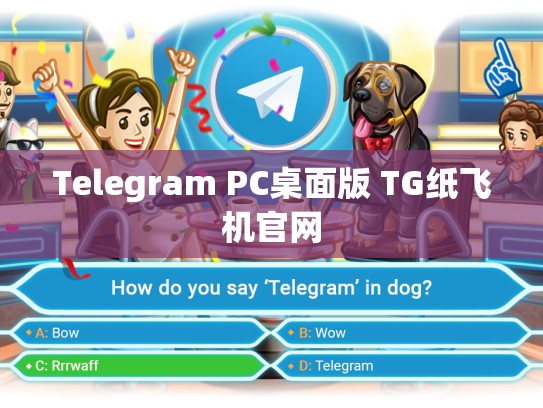 Telegram PC桌面版 TG纸飞机官网