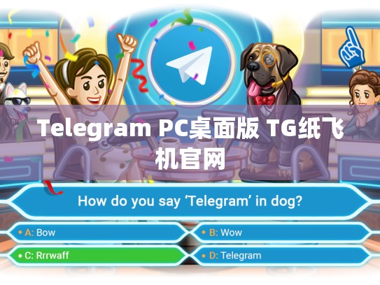 Telegram PC桌面版 TG纸飞机官网