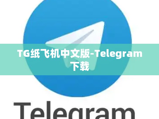 TG纸飞机中文版-Telegram下载