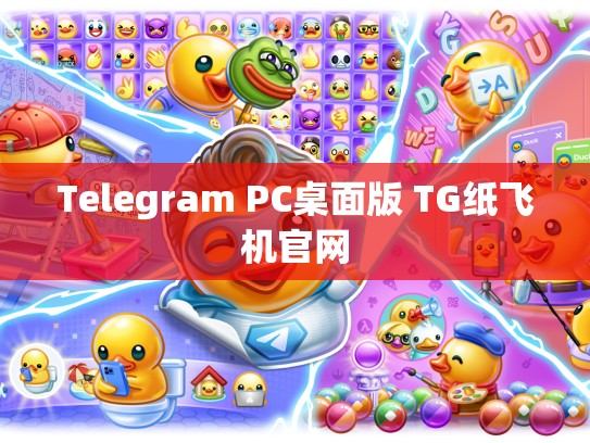 Telegram PC桌面版 TG纸飞机官网