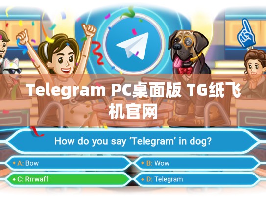 Telegram PC桌面版 TG纸飞机官网