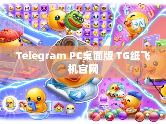 Telegram PC桌面版 TG纸飞机官网