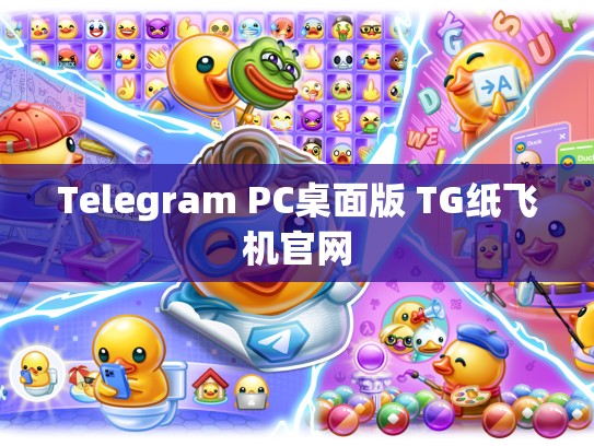Telegram PC桌面版 TG纸飞机官网