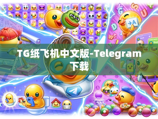 TG纸飞机中文版-Telegram下载
