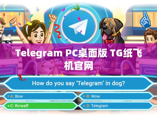 Telegram PC桌面版 TG纸飞机官网