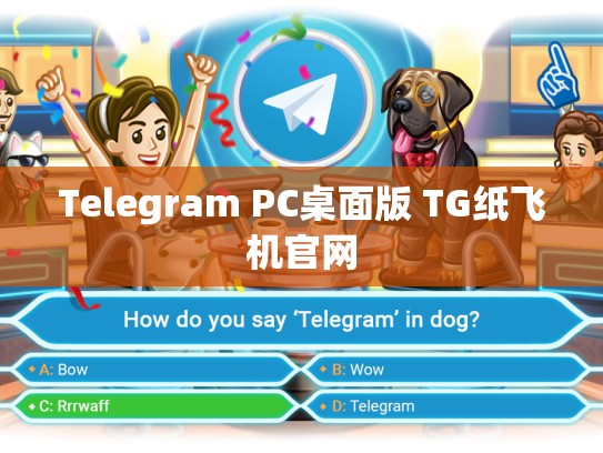 Telegram PC桌面版 TG纸飞机官网