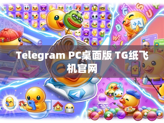 Telegram PC桌面版 TG纸飞机官网