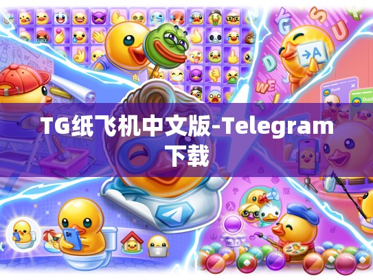 TG纸飞机中文版-Telegram下载
