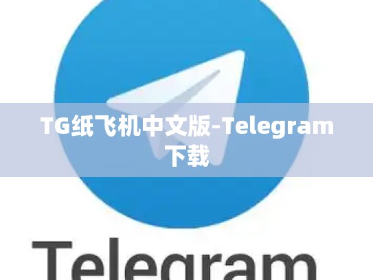 TG纸飞机中文版-Telegram下载