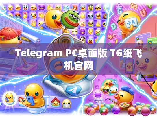 Telegram PC桌面版 TG纸飞机官网