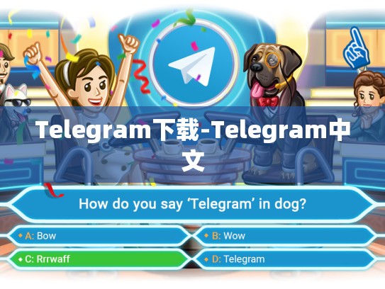 Telegram下载-Telegram中文