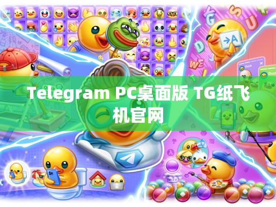 Telegram PC桌面版 TG纸飞机官网