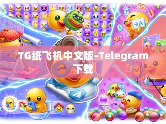 TG纸飞机中文版-Telegram下载