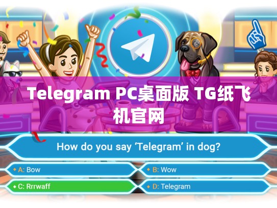 Telegram PC桌面版 TG纸飞机官网