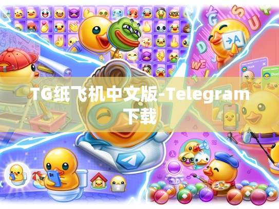 TG纸飞机中文版-Telegram下载