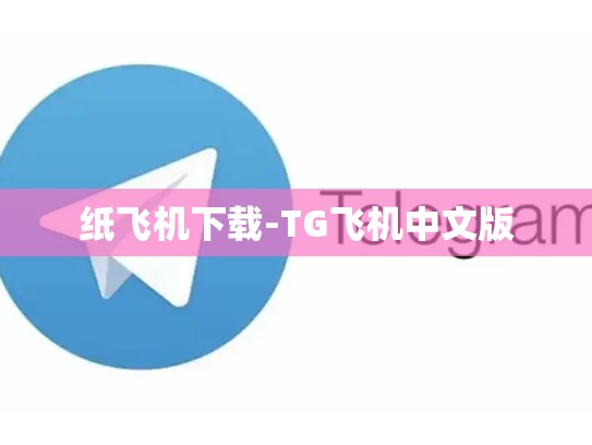 纸飞机下载-TG飞机中文版