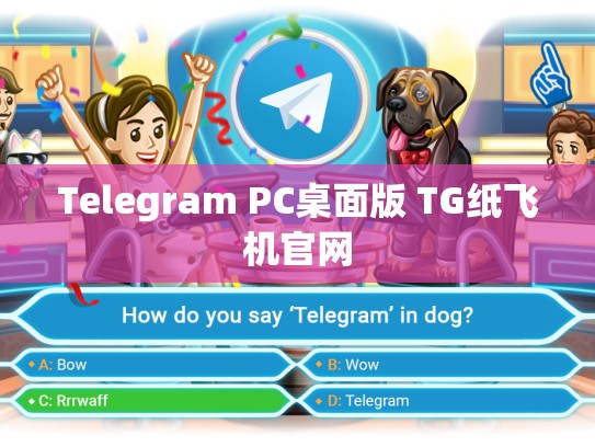 Telegram PC桌面版 TG纸飞机官网