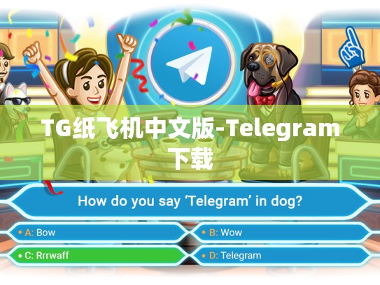 TG纸飞机中文版-Telegram下载