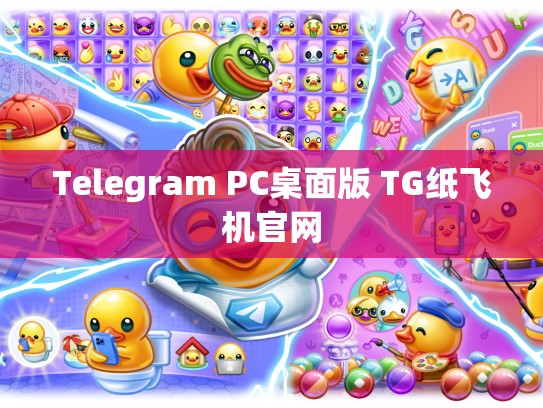Telegram PC桌面版 TG纸飞机官网