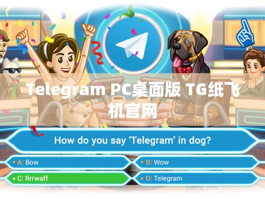 Telegram PC桌面版 TG纸飞机官网
