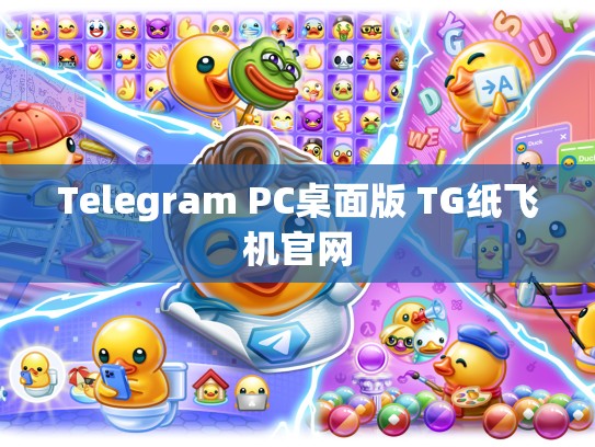 Telegram PC桌面版 TG纸飞机官网