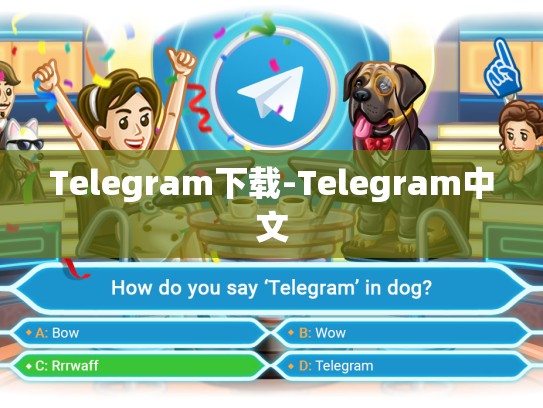 Telegram下载-Telegram中文