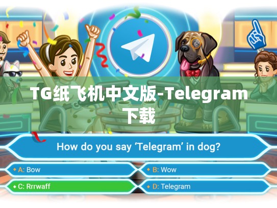 TG纸飞机中文版-Telegram下载