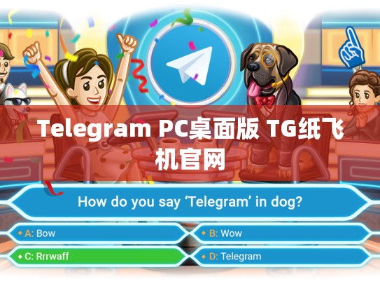 Telegram PC桌面版 TG纸飞机官网