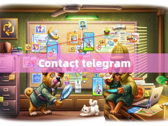 Contact telegram