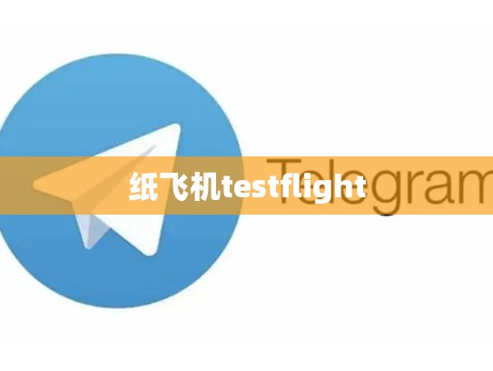 纸飞机testflight