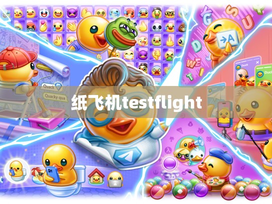 纸飞机testflight