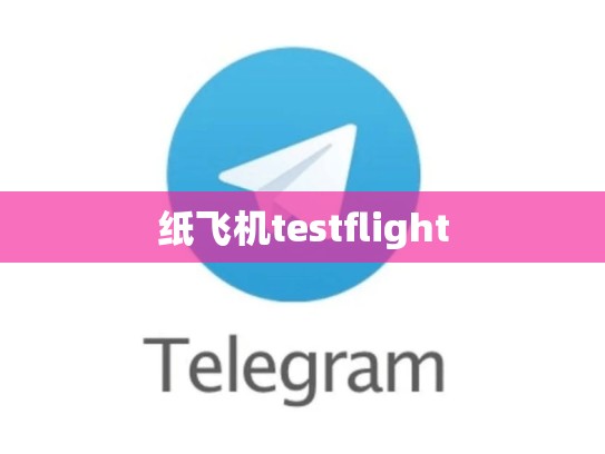 纸飞机testflight