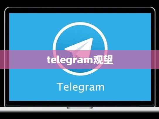 telegram观望