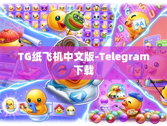 TG纸飞机中文版-Telegram下载
